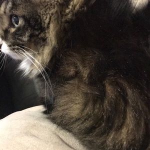 Meet your Posher, Cindy